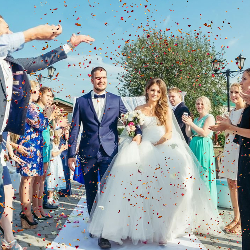 Natural Wedding Dried Flower R – Event Suppliers recenzja i cena