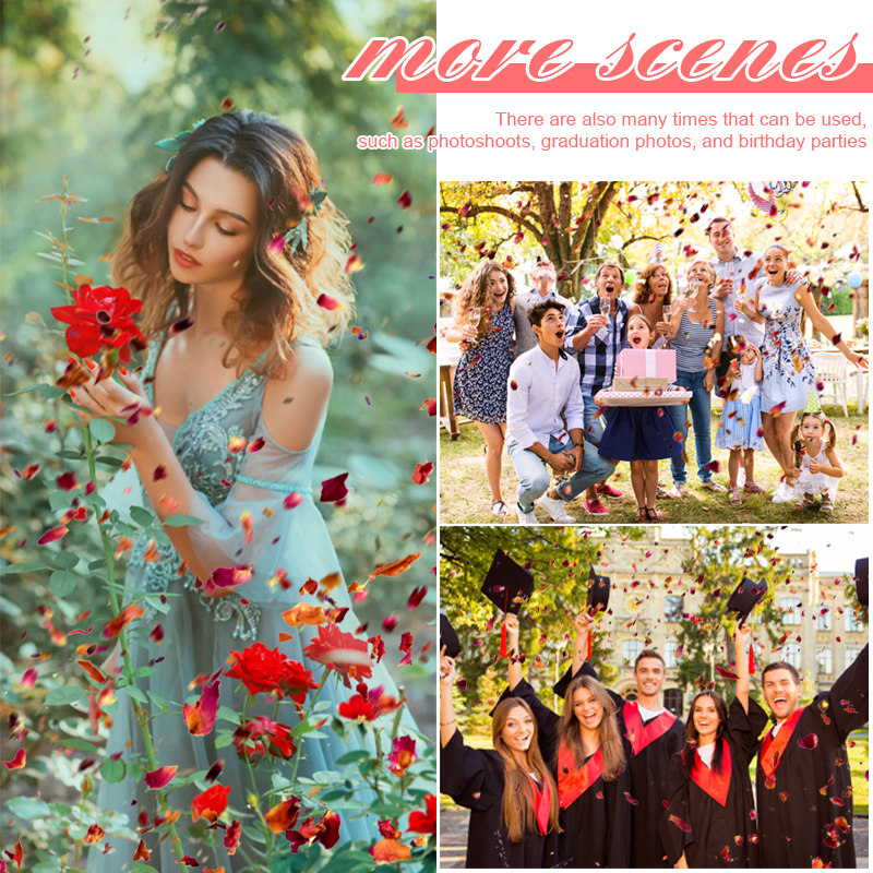 Natural Wedding Dried Flower R – Event Suppliers recenzja i cena