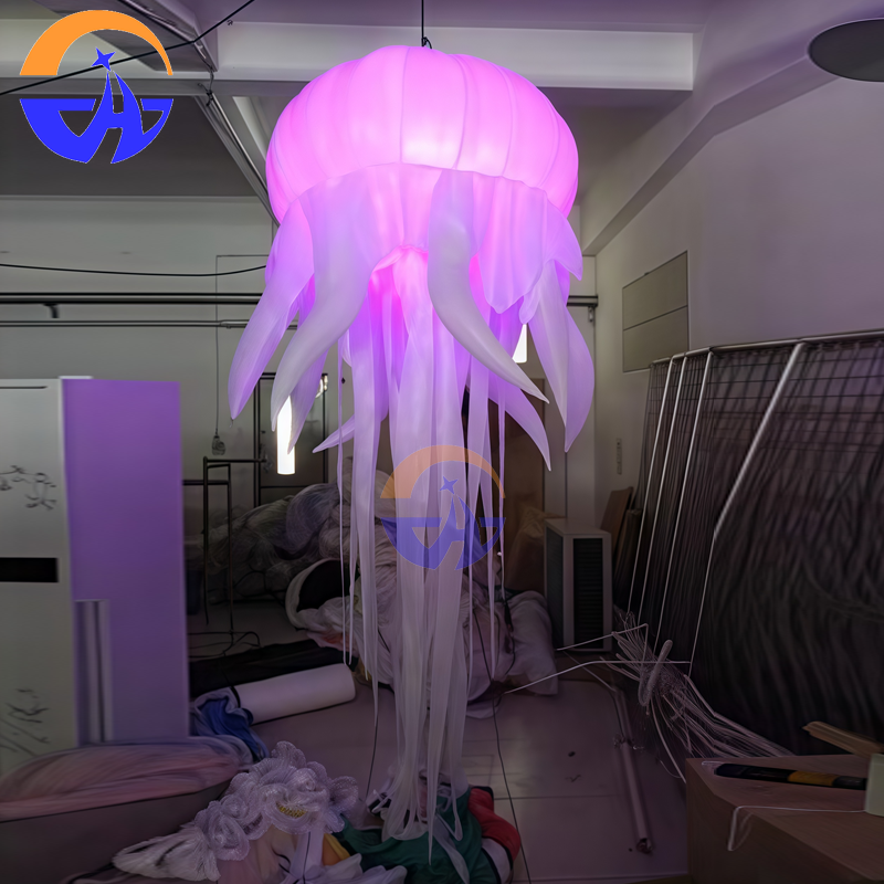 Giant LED Glowing Inflatable J – Led Balloon Light recenzja i cena