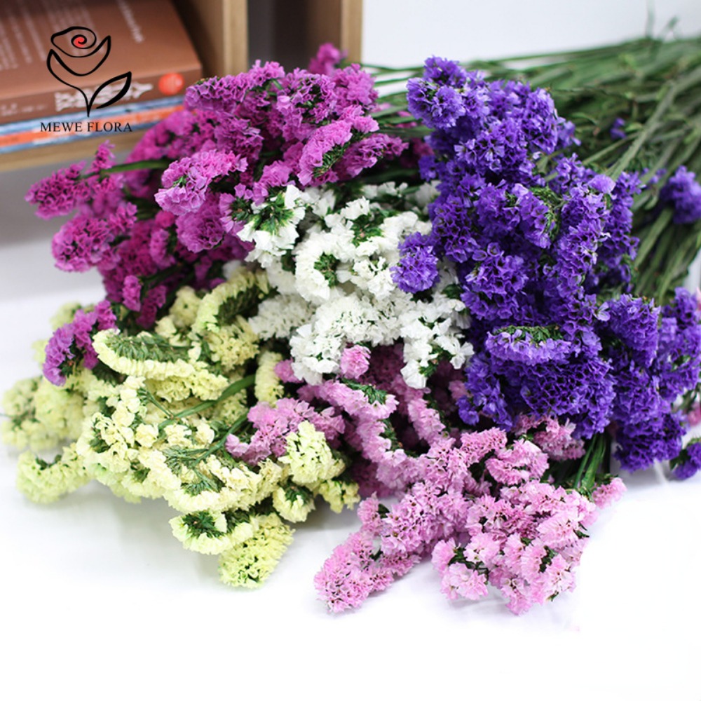 100g Dried Forget Me Not Flowe – Event Suppliers recenzja i cena